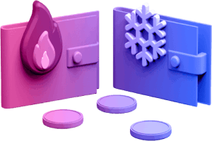 Hot and Cold Wallets